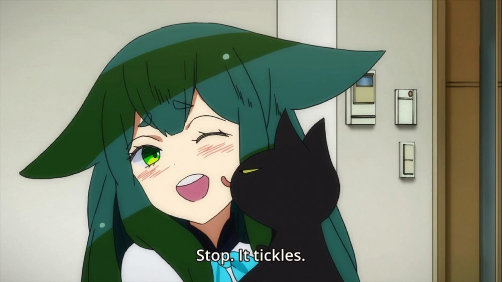 ss (2013-08-08 at 12.59.14).jpg